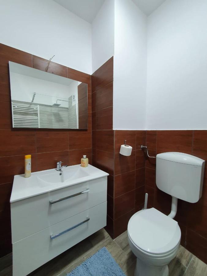 Petrosani Camere De Inchiriat - Hotel Petroshani Srl Dış mekan fotoğraf