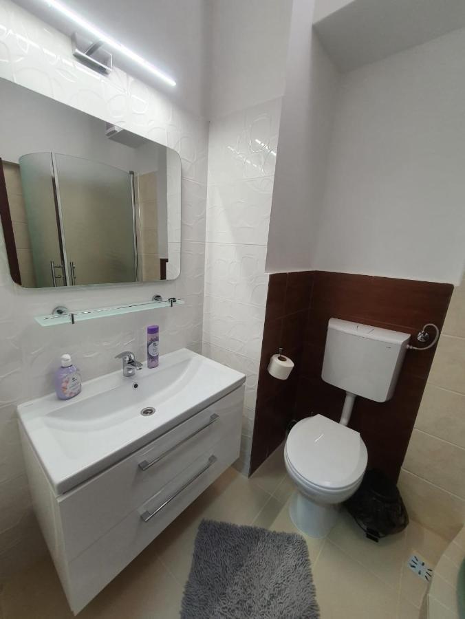 Petrosani Camere De Inchiriat - Hotel Petroshani Srl Dış mekan fotoğraf