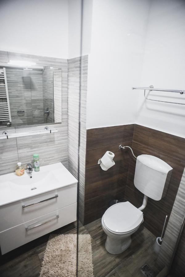 Petrosani Camere De Inchiriat - Hotel Petroshani Srl Dış mekan fotoğraf